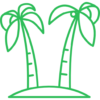 two-palm-trees two-palm-trees